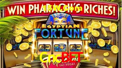 Casino Ao Vivo Cncbet